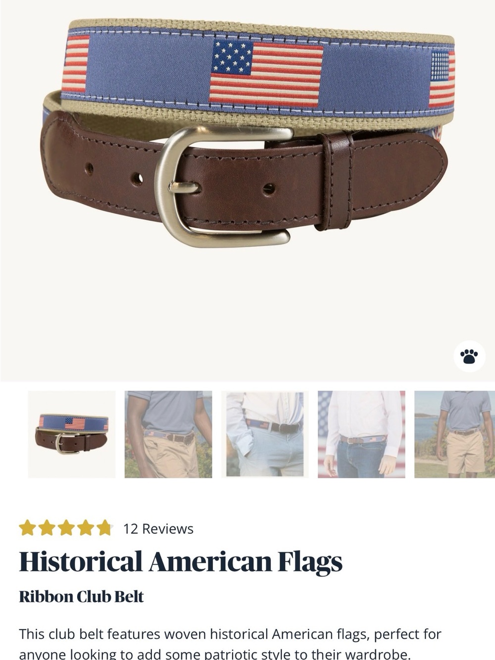 Woven American Flag Club Belt - Brown & Blue
